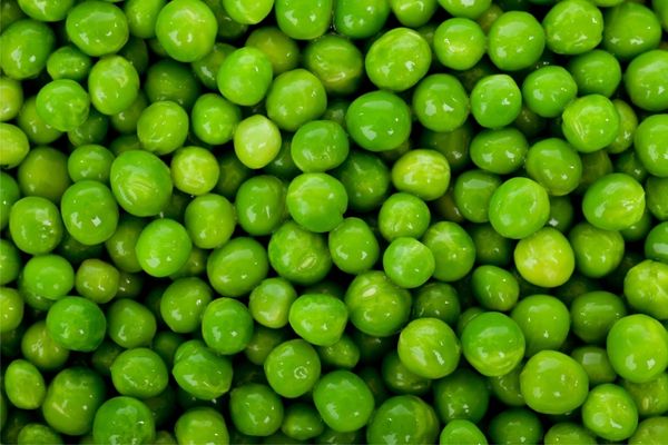 Can Cats Eat Peas The Truth About Cat And Peas To Know